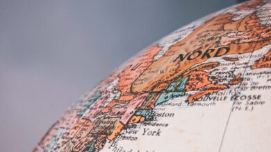 Kıbrıs'ta Dil Eğitimi ve Dil Politikaları: Dil Çeşitliliği ve Dil Öğrenme Stratejiler 6 uploaded image kibrista dil egitimi ve dil politikalari dil cesitliligi ve dil ogrenme stratejiler 1710730161857