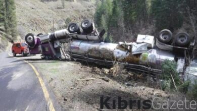 ABD'de 25 binden fazla somon balığı trafik kazasında öldü 6 abdde 25 binden fazla somon baligi trafik kazasinda oldu iG3BfY5O