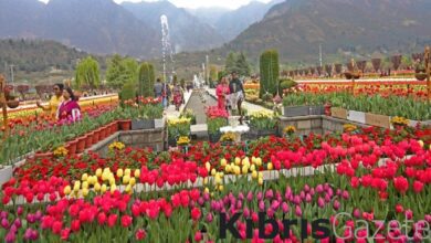 Asya’nın en büyük lale bahçesi göz kamaştırıyor 10 asyanin en buyuk lale bahcesi goz kamastiriyor ZWigxY3K