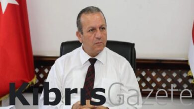 ataoglu sokak hayvanlari hayatlarimizin onemli bir parcasidir I4Kur97z