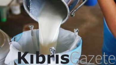 Boğaziçi Süt Toplama Merkezi, yarın koyun ve keçi sütü alımına başlayacak 1 bogazici sut toplama merkezi yarin koyun ve keci sutu alimina baslayacak GmMr86f4