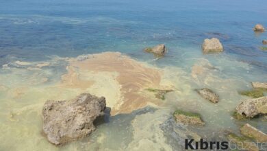 denizdeki kirlilik endise yaratti 57AgVUvS