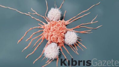 Erkeklerde ve kadınlarda en sık görülen kanser türleri açıklandı 1 erkeklerde ve kadinlarda en sik gorulen kanser turleri aciklandi acyQZPUe