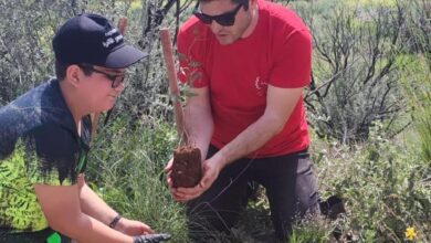 evkaf iyilik gonullulerinden cevreye iyilik eli G7HDHles