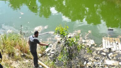 Girne Belediyesi ilaçlama çalışmalarına devam ediyor 7 girne belediyesi ilaclama calismalarina devam ediyor c5HiwjdQ