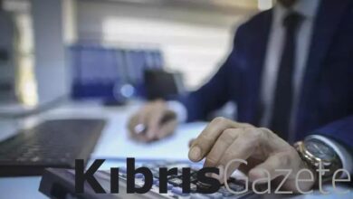 guneyde kamuda calisan personel sayisinda yuzde 51 oraninda artis D9pVycIp