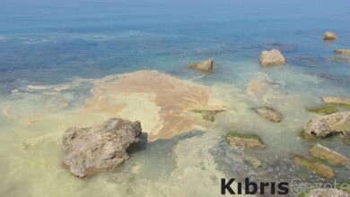 ilk rapor aciklandi yogun olarak cam poleni RT2y62hx