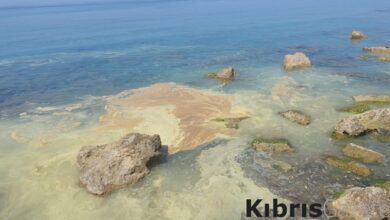 ilk rapor aciklandi yogun olarak cam poleni qD59Tsg1