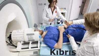 insan beyninin en net goruntusu yayinlandi KVuL9CH7