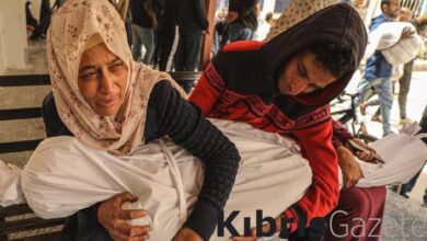 İsrail'in saldırılarında 24 bin Gazzeli kadın ve çocuk can verdi 9 israilin saldirilarinda 24 bin gazzeli kadin ve cocuk can verdi CZMVwOeL