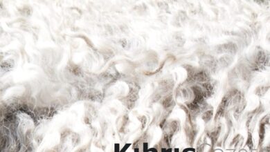 Kırkılmış koyun yünleri “Yünün Kuzey Kıbrıs’ta Yeniden Doğuşu” projesine hibe edilecek 9 kirkilmis koyun yunleri yunun kuzey kibrista yeniden dogusu projesine hibe edilecek 2T4qtlTh