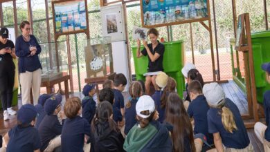 Meritta Deniz Kaplumbağaları Rehabilitasyon Merkezine miniklerden ziyaret… 7 meritta deniz kaplumbagalari rehabilitasyon merkezine miniklerden ziyaret qLdJPviy