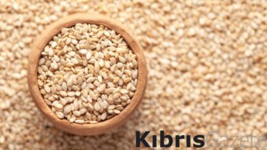 muglanin gozdesi sari susam faydalariyla one cikiyor japonlar kilo kilo aliyor QZBKLIca