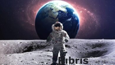 NASA tarihinde bir ilk: Japon astronot Ay'a gidiyor 2 nasa tarihinde bir ilk japon astronot aya gidiyor XIIruv14