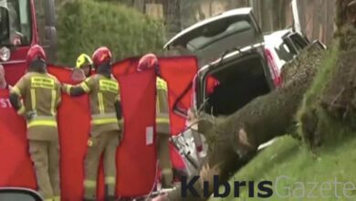 polonyada siddetli ruzgarlar agaclari devirdi 5 olu pHugsxSb