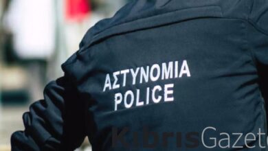 Soyguna karışan şahıs Metehan’da tutuklandı 6 soyguna karisan sahis metehanda tutuklandi 9bLNr1V4