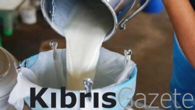 sut bedelleri odendi 8LQ2q4OE