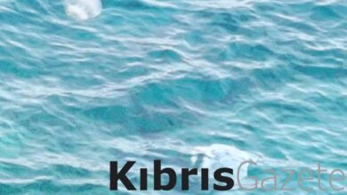 tarim bakanligi denizanalari son 10 yilda daha siklikla goruluyor dkaDy3Ky