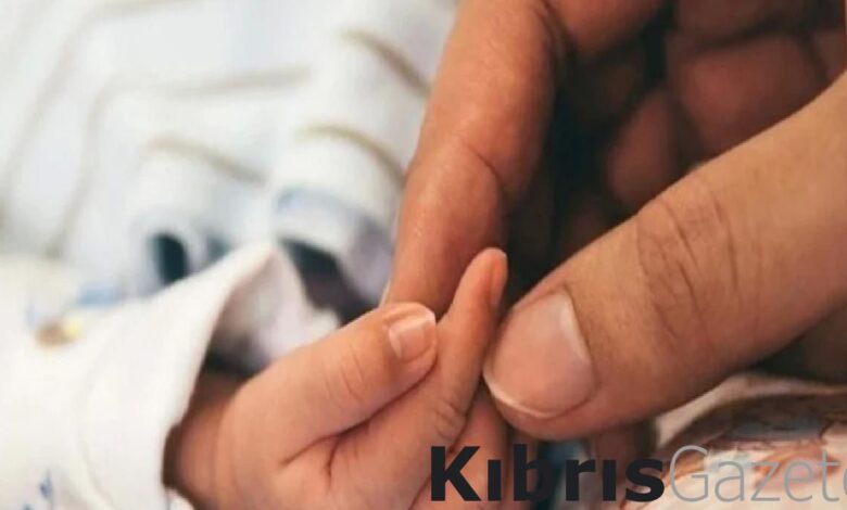 Vatikan, taşıyıcı anneliğin evrensel suç olmasını istedi! 1 vatikan tasiyici anneligin evrensel suc olmasini istedi qKXun6Mk