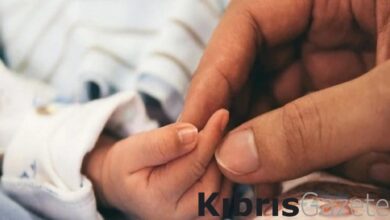 Vatikan, taşıyıcı anneliğin suç olmasını istedi 10 vatikan tasiyici anneligin suc olmasini istedi hulYdqex