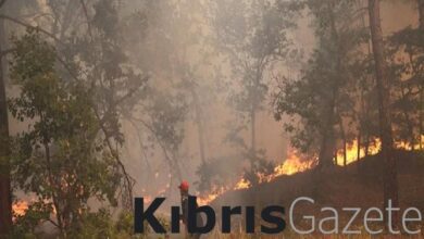 Yunanistan’da çıkan orman yangını devam ediyor 8 yunanistanda cikan orman yangini devam ediyor WWFy4zzs