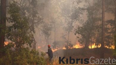 Yunanistan'da orman yangını: Katerin'den alevler yükseldi 6 yunanistanda orman yangini katerinden alevler yukseldi 4p9rfswk