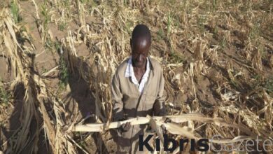 zimbabvede kuraklik ulusal afet ilan edildi sjT2feEB